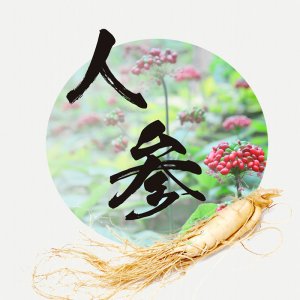 人参粉人参固体饮料贴牌OEM/ODM