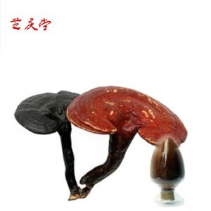 [芝庆堂]灵芝提取物贴牌OEM/ODM